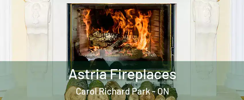  Astria Fireplaces Carol Richard Park - ON