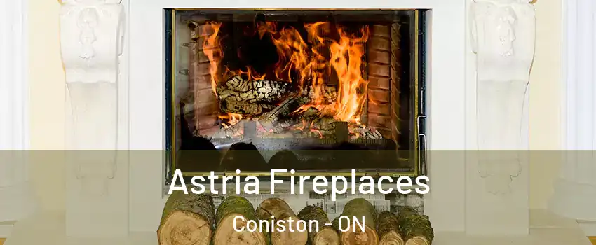  Astria Fireplaces Coniston - ON