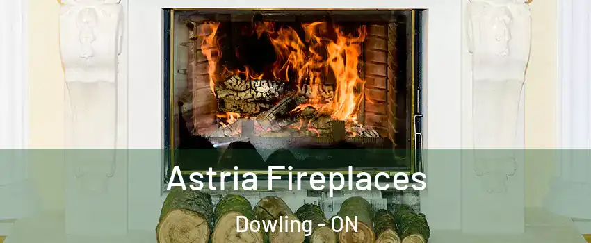  Astria Fireplaces Dowling - ON