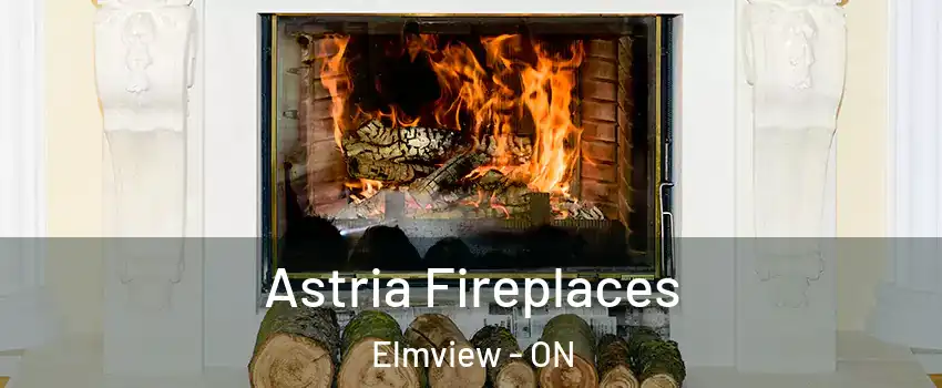  Astria Fireplaces Elmview - ON