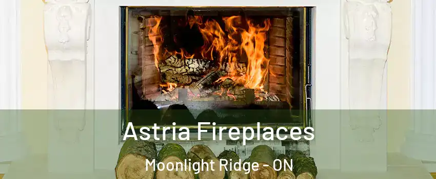  Astria Fireplaces Moonlight Ridge - ON