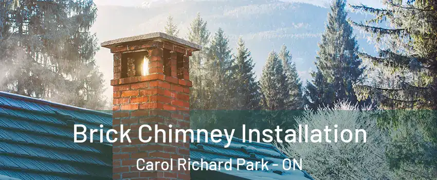  Brick Chimney Installation Carol Richard Park - ON