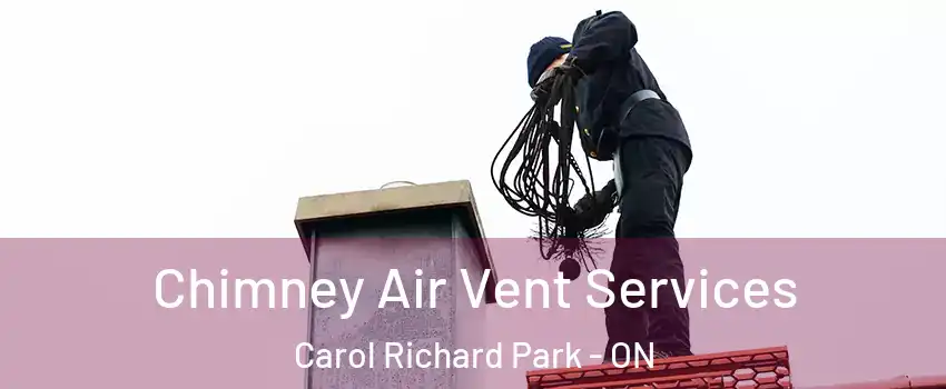  Chimney Air Vent Services Carol Richard Park - ON