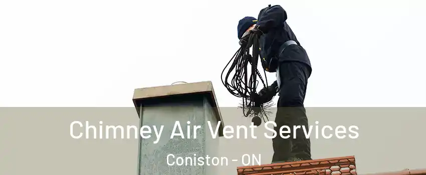  Chimney Air Vent Services Coniston - ON