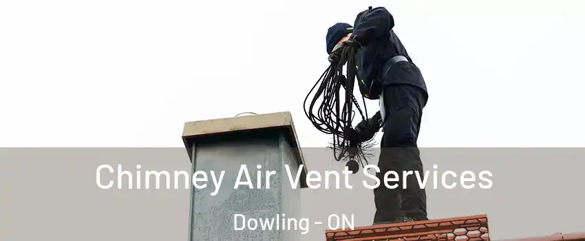  Chimney Air Vent Services Dowling - ON