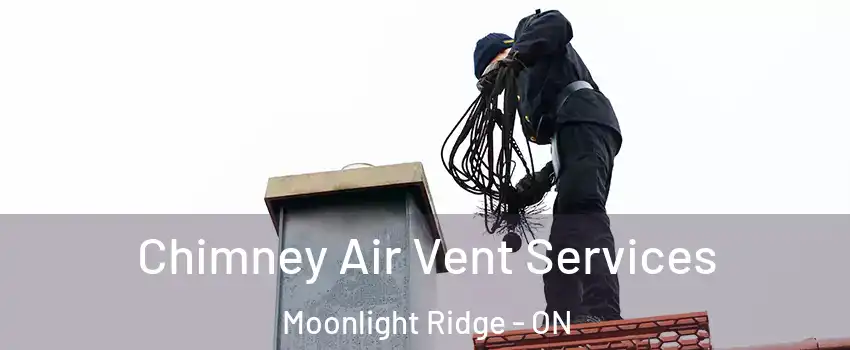  Chimney Air Vent Services Moonlight Ridge - ON