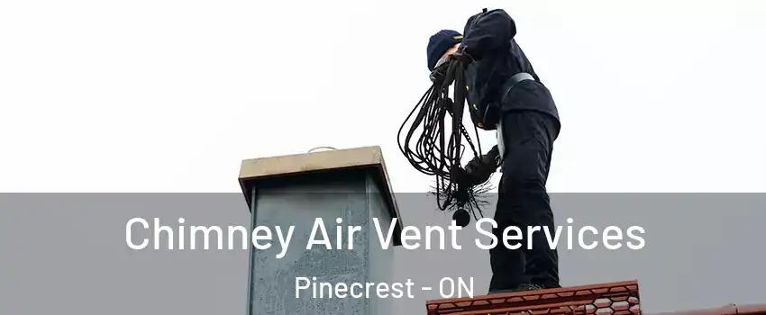  Chimney Air Vent Services Pinecrest - ON
