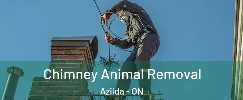 Chimney Animal Removal Azilda - ON