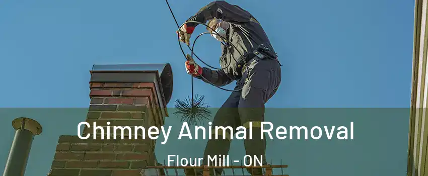 Chimney Animal Removal Flour Mill - ON