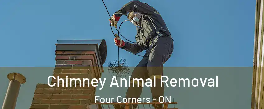Chimney Animal Removal Four Corners - ON