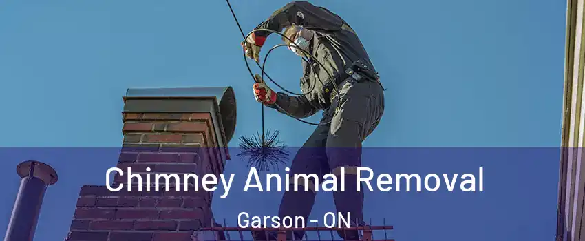 Chimney Animal Removal Garson - ON