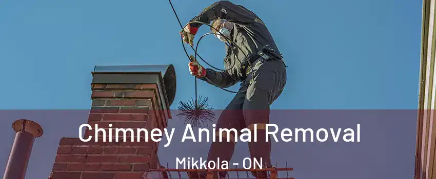 Chimney Animal Removal Mikkola - ON