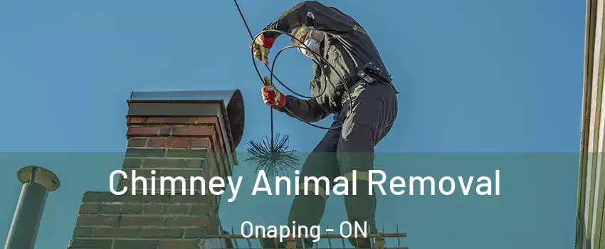 Chimney Animal Removal Onaping - ON