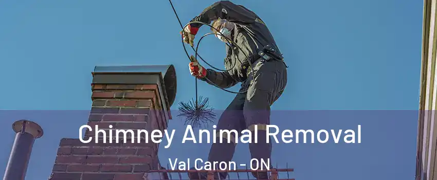 Chimney Animal Removal Val Caron - ON