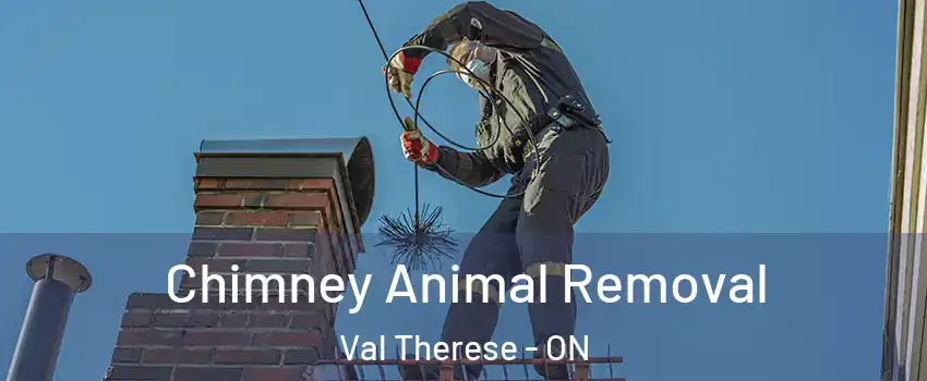 Chimney Animal Removal Val Therese - ON