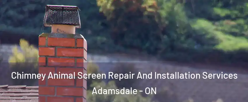  Chimney Animal Screen Repair And Installation Services Adamsdale - ON