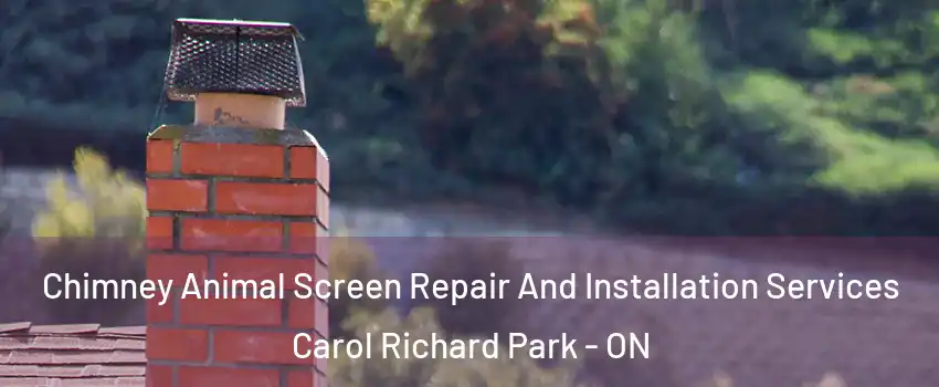 Chimney Animal Screen Repair And Installation Services Carol Richard Park - ON