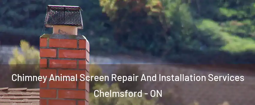  Chimney Animal Screen Repair And Installation Services Chelmsford - ON