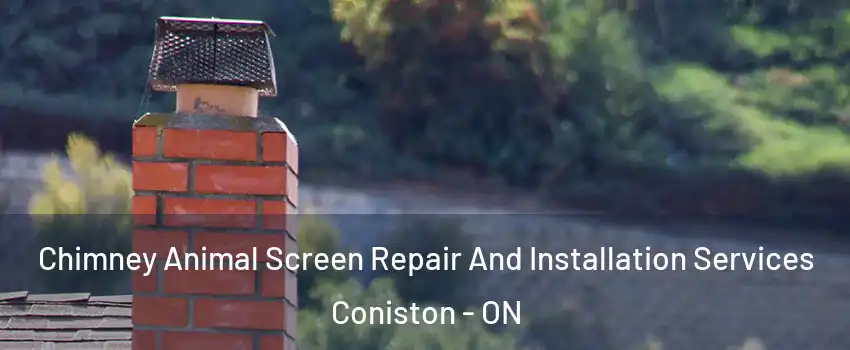  Chimney Animal Screen Repair And Installation Services Coniston - ON
