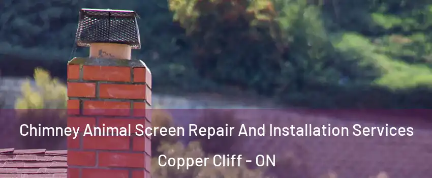  Chimney Animal Screen Repair And Installation Services Copper Cliff - ON