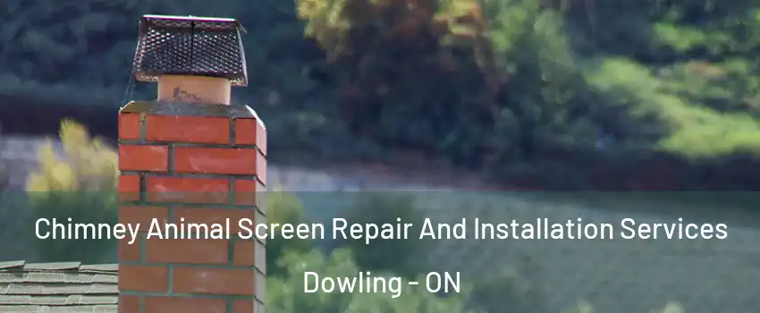  Chimney Animal Screen Repair And Installation Services Dowling - ON