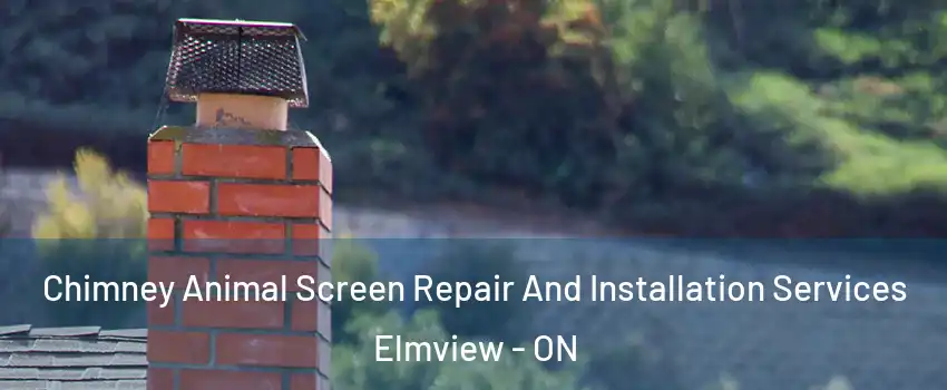  Chimney Animal Screen Repair And Installation Services Elmview - ON