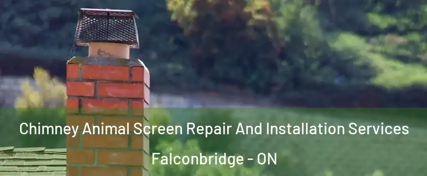  Chimney Animal Screen Repair And Installation Services Falconbridge - ON