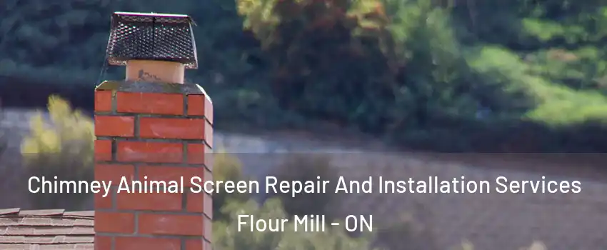  Chimney Animal Screen Repair And Installation Services Flour Mill - ON