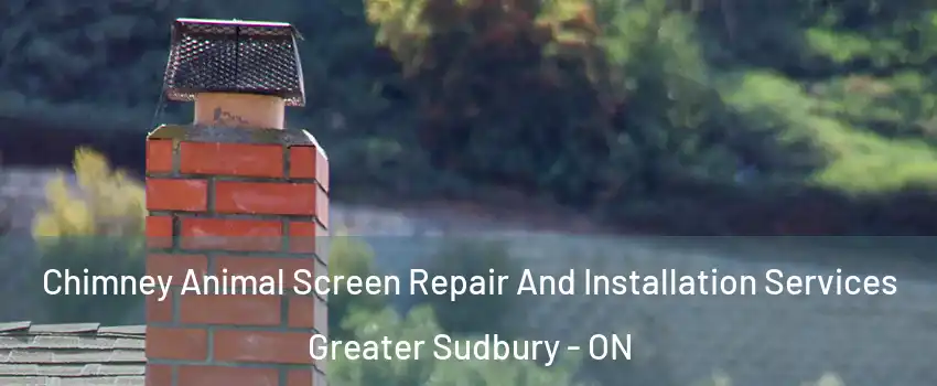  Chimney Animal Screen Repair And Installation Services Greater Sudbury - ON