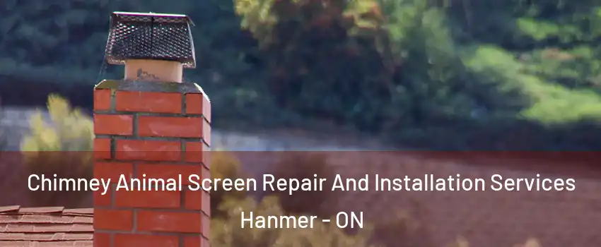  Chimney Animal Screen Repair And Installation Services Hanmer - ON