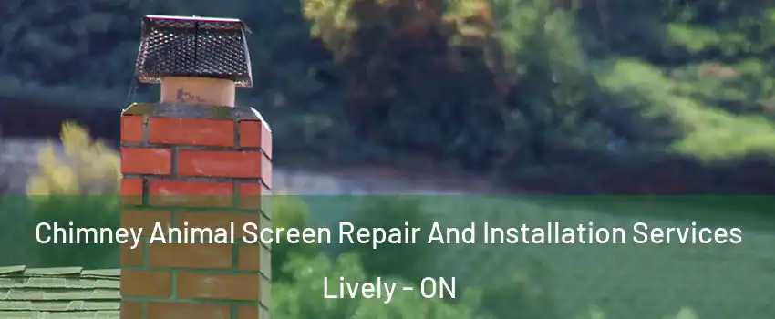  Chimney Animal Screen Repair And Installation Services Lively - ON