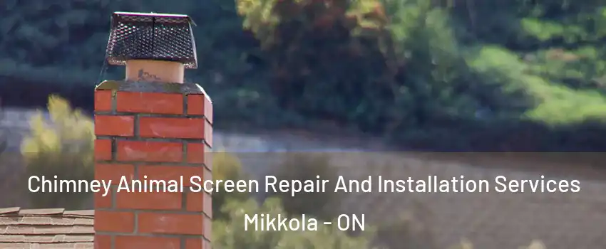  Chimney Animal Screen Repair And Installation Services Mikkola - ON