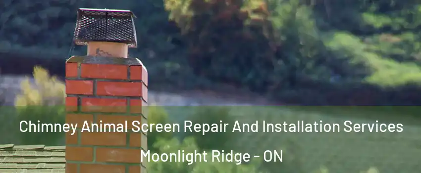  Chimney Animal Screen Repair And Installation Services Moonlight Ridge - ON