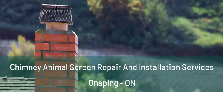  Chimney Animal Screen Repair And Installation Services Onaping - ON