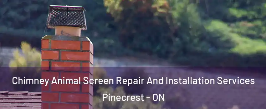  Chimney Animal Screen Repair And Installation Services Pinecrest - ON