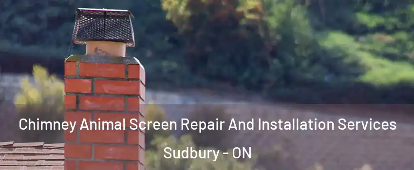  Chimney Animal Screen Repair And Installation Services Sudbury - ON