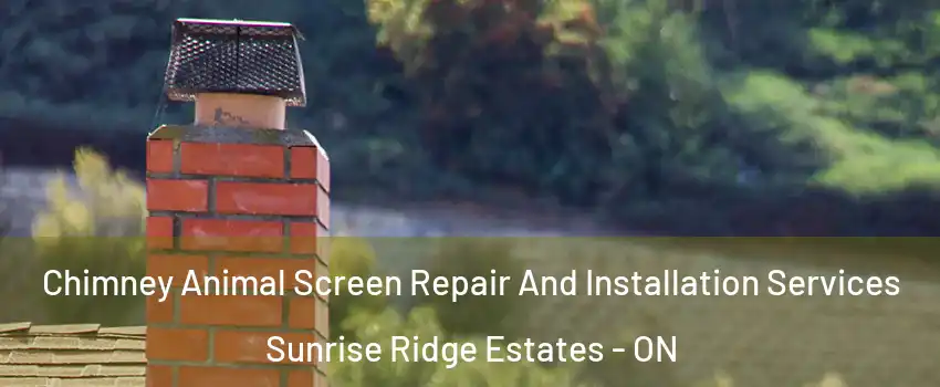  Chimney Animal Screen Repair And Installation Services Sunrise Ridge Estates - ON