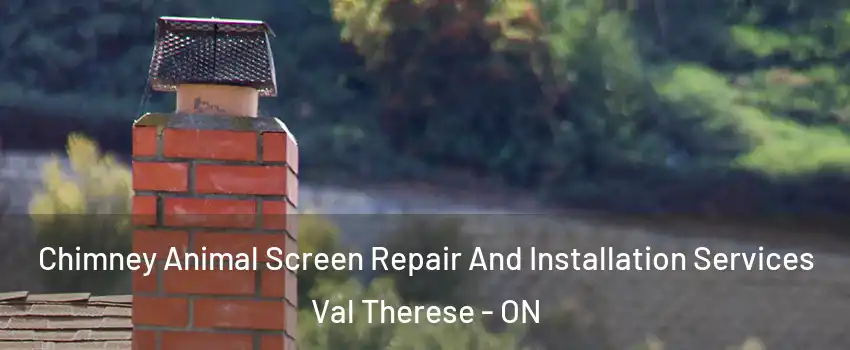  Chimney Animal Screen Repair And Installation Services Val Therese - ON