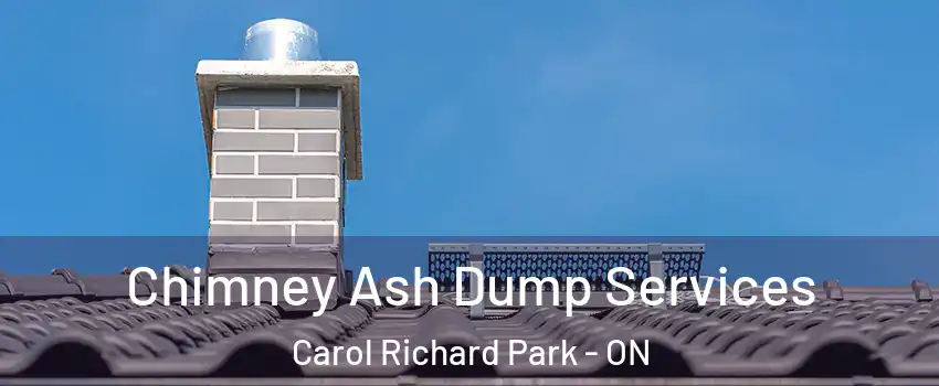  Chimney Ash Dump Services Carol Richard Park - ON