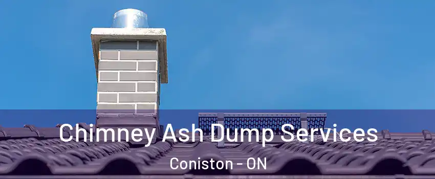  Chimney Ash Dump Services Coniston - ON
