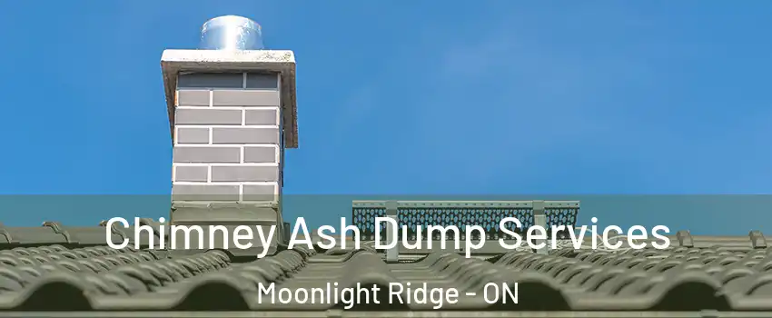  Chimney Ash Dump Services Moonlight Ridge - ON