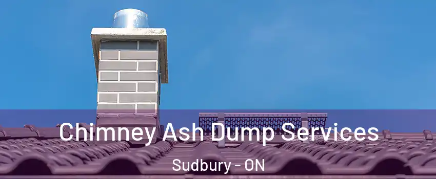  Chimney Ash Dump Services Sudbury - ON