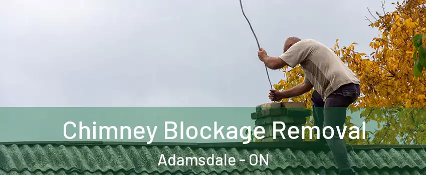  Chimney Blockage Removal Adamsdale - ON