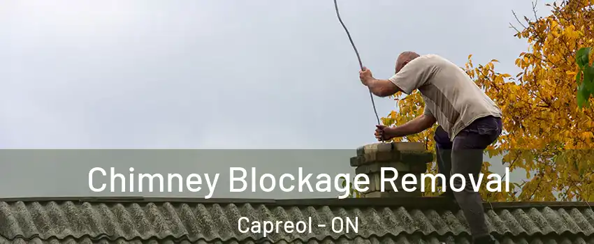  Chimney Blockage Removal Capreol - ON