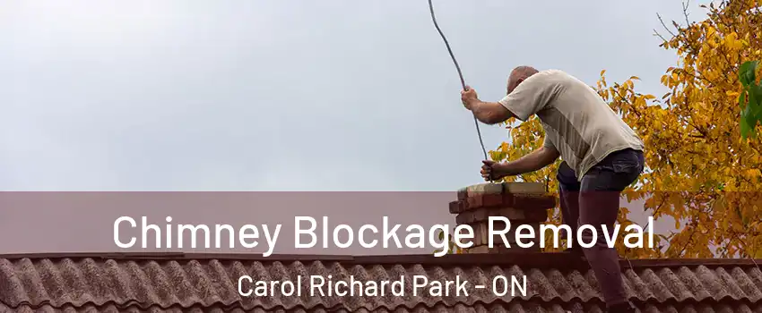  Chimney Blockage Removal Carol Richard Park - ON