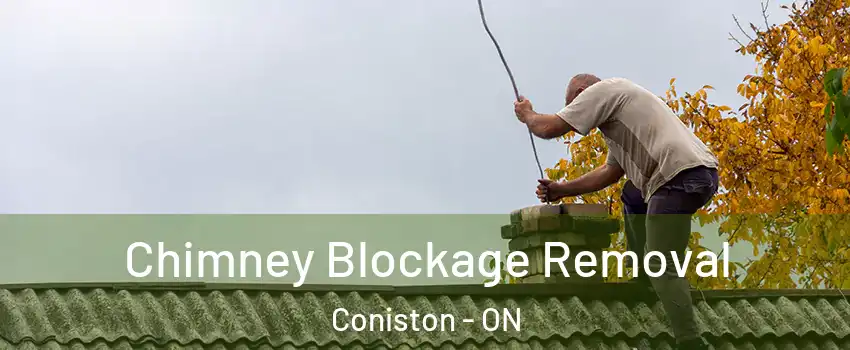  Chimney Blockage Removal Coniston - ON