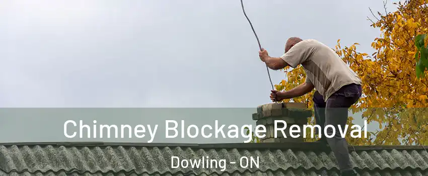 Chimney Blockage Removal Dowling - ON
