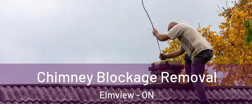  Chimney Blockage Removal Elmview - ON