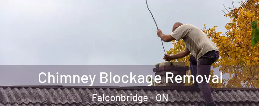  Chimney Blockage Removal Falconbridge - ON