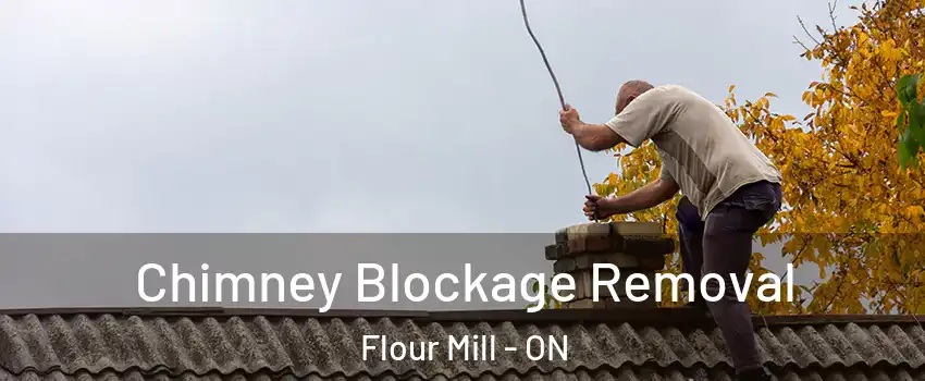  Chimney Blockage Removal Flour Mill - ON